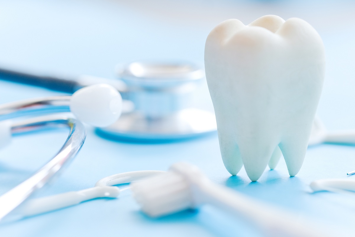 Dental model